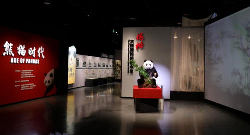 奧斯卡獎(jiǎng)級(jí)別盛宴 十大精品陳列揭曉 數(shù)字創(chuàng)意展覽引領(lǐng)世界